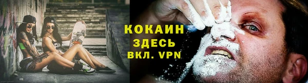 дживик Покров