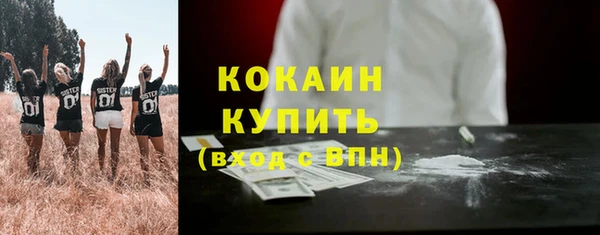 дживик Покров