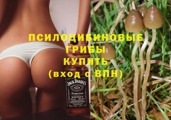 СК Покачи