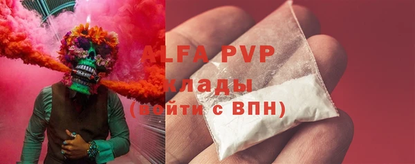 СК Покачи
